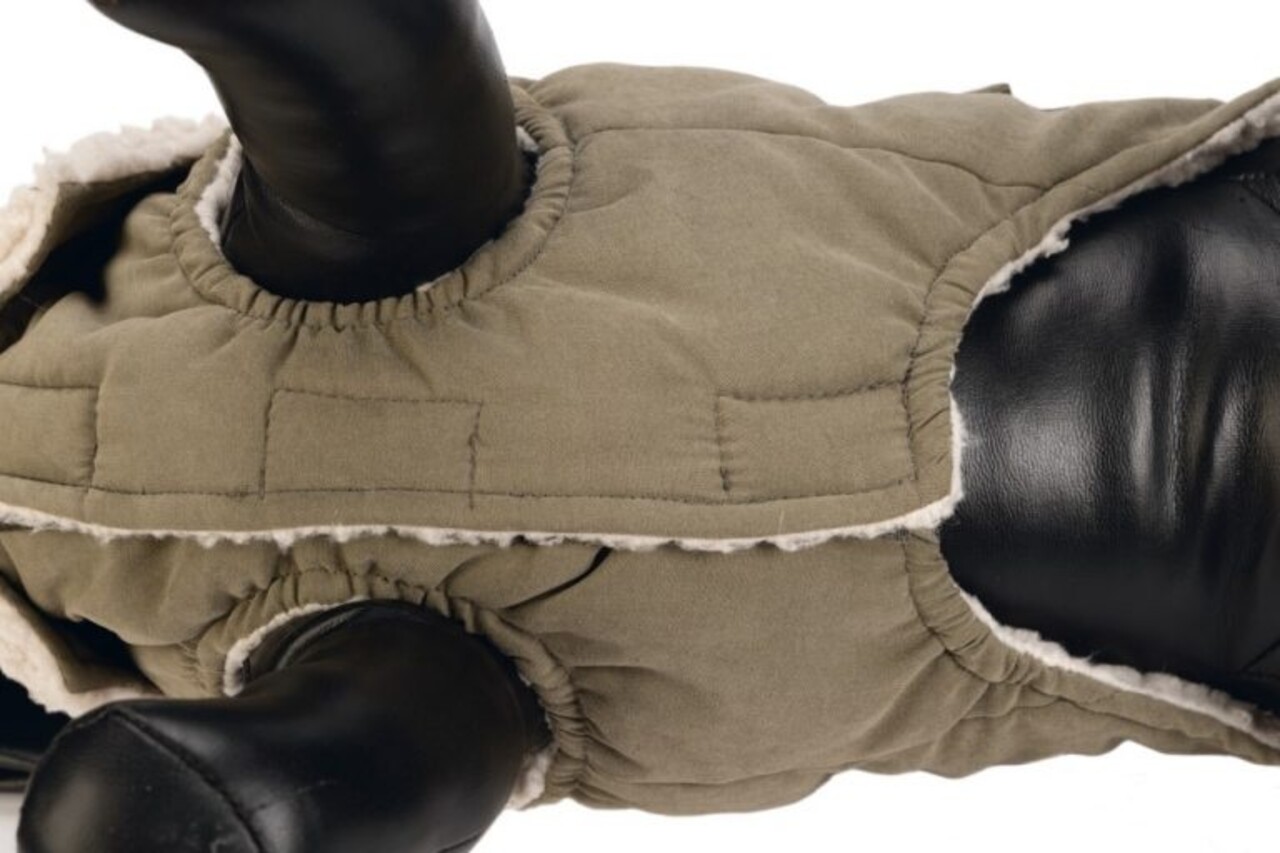 Designed by Lotte Designed by Lotte Hondenjas Philos Groen Designed by Lotte Designed by Lotte Hondenjas Philos Groen