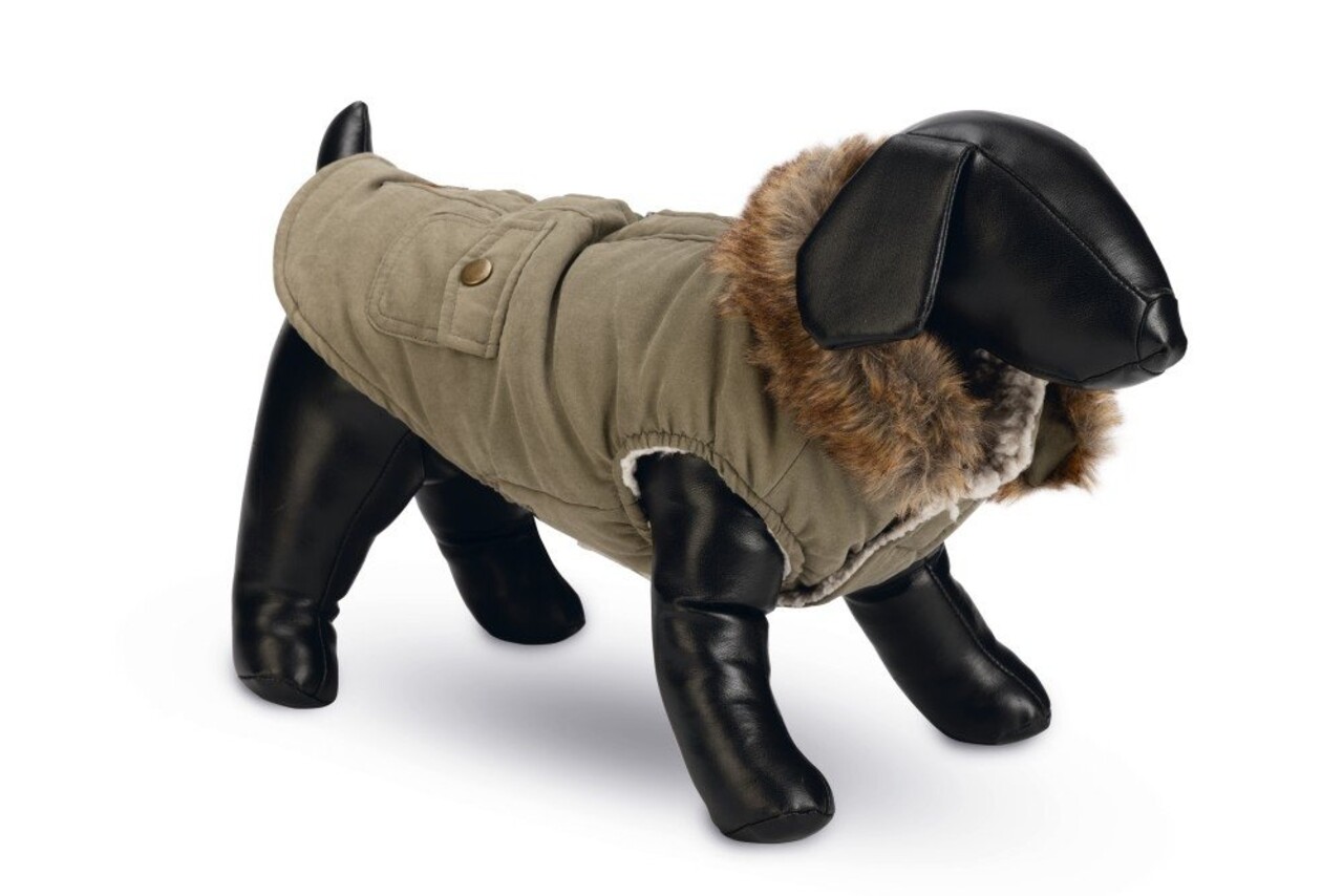 Designed by Lotte Designed by Lotte Hondenjas Philos Groen Designed by Lotte Designed by Lotte Hondenjas Philos Groen