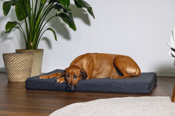 Beeztees Beeztees Orthopedisch Ligkussen Zira Donkergrijs