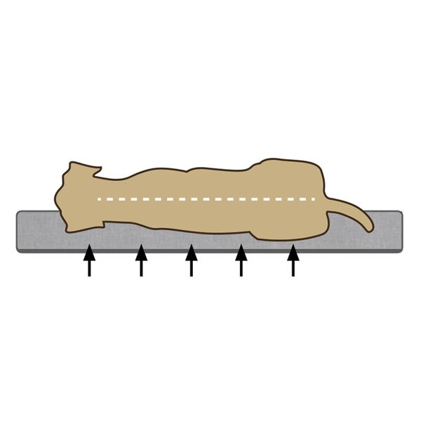 Beeztees Beeztees Orthopedisch Ligkussen Zira Beige Beeztees Beeztees Orthopedisch Ligkussen Zira Beige
