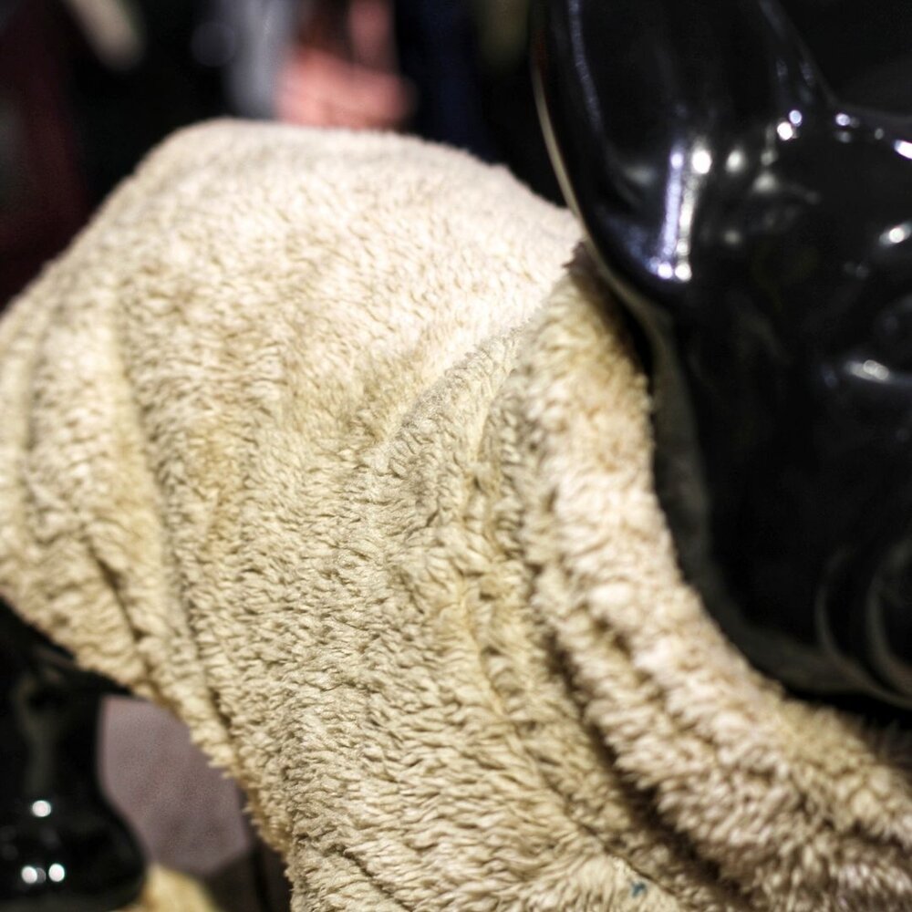 51 Degrees North 51 Degrees North Hondentrui Turtle Teddy Beige 51 Degrees North 51 Degrees North Hondentrui Turtle Teddy Beige