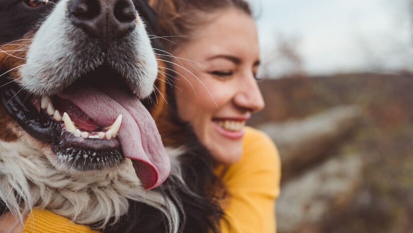 Wat is gezonde hondenvoeding?