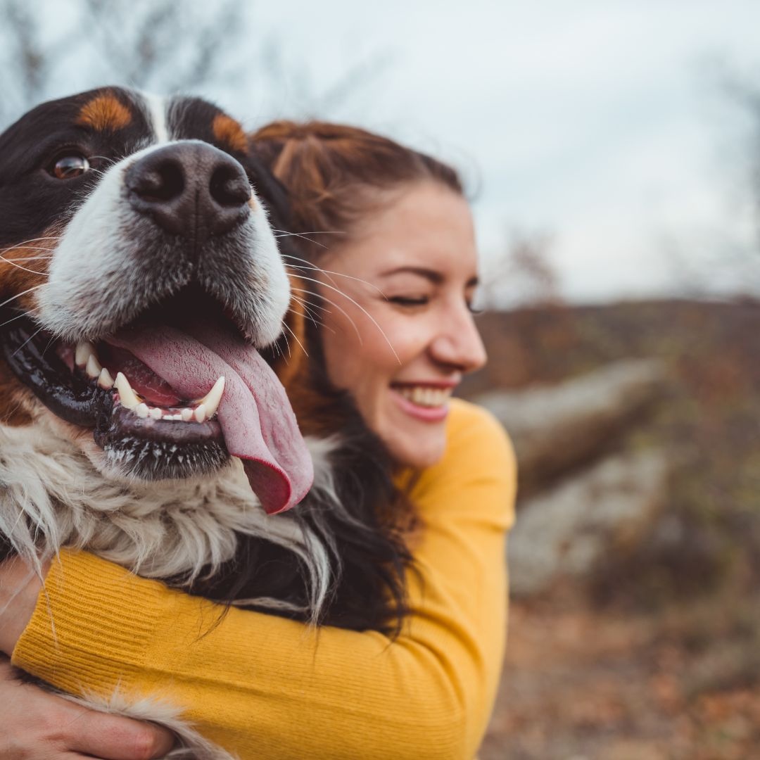 Wat is gezonde hondenvoeding? 