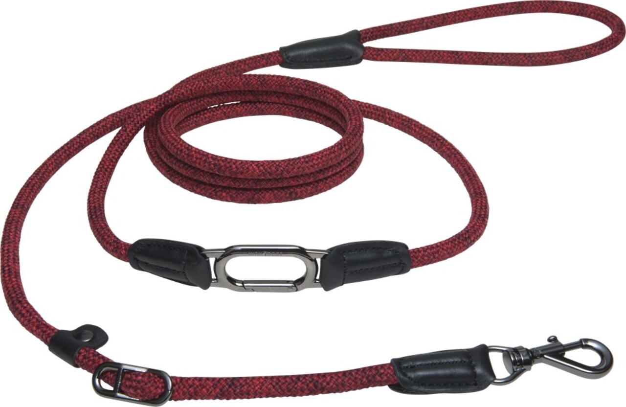 High 5 Dogs High 5 Dogs Metropolitan Clic Leiband Rood High 5 Dogs High 5 Dogs Metropolitan Clic Leiband Rood