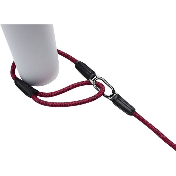 High 5 Dogs High 5 Dogs Metropolitan Clic Leiband Rood High 5 Dogs High 5 Dogs Metropolitan Clic Leiband Rood