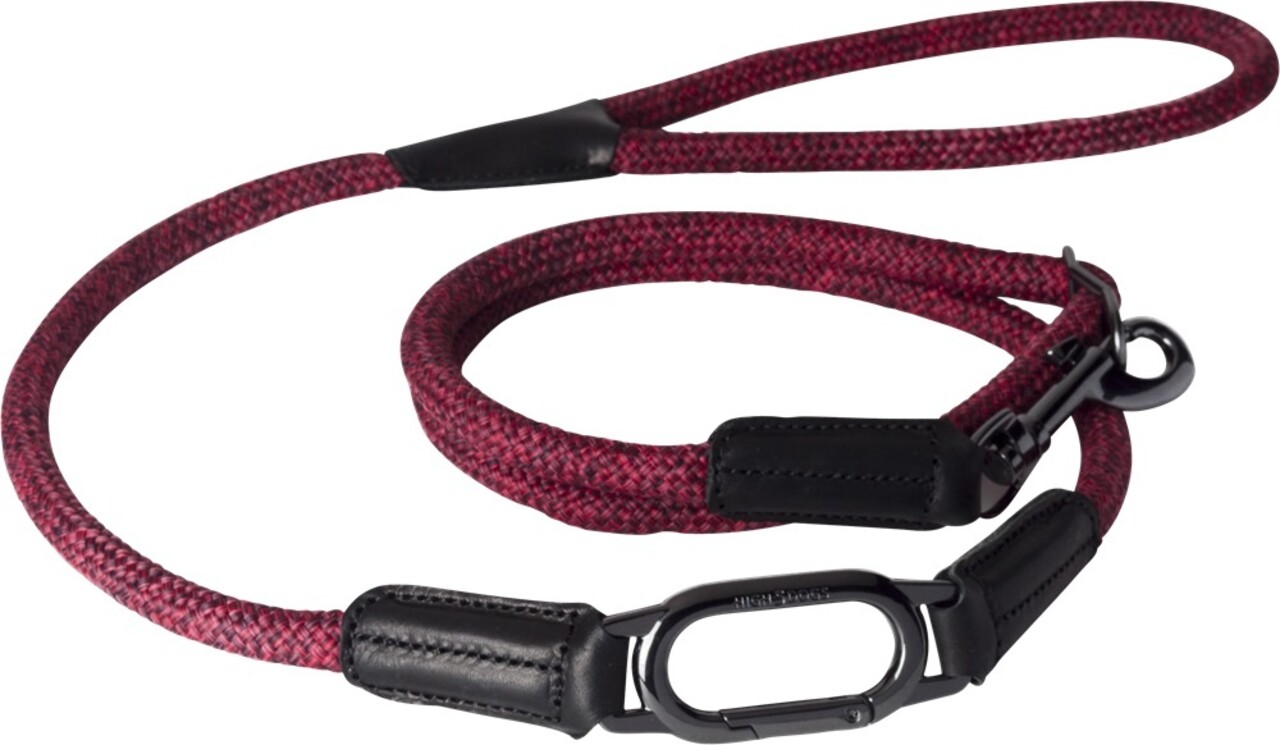 High 5 Dogs High 5 Dogs Metropolitan Clic Leiband Rood High 5 Dogs High 5 Dogs Metropolitan Clic Leiband Rood