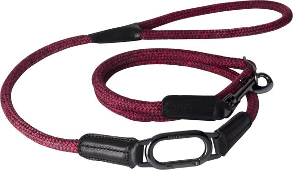 Basic Nylon Hondenhalsband & Leiband Set Klein - Luipaard Bruin - Sterk & Comfortabel Voor Kleine Rassen