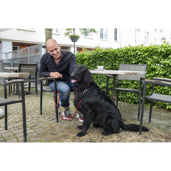 High 5 Dogs High 5 Dogs Metropolitan Clic Leiband Rood High 5 Dogs High 5 Dogs Metropolitan Clic Leiband Rood