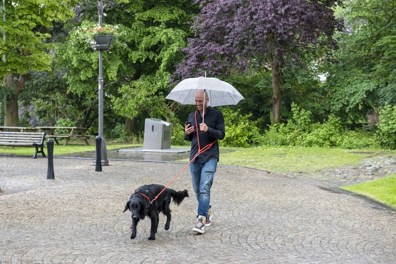 High 5 Dogs High 5 Dogs Metropolitan Clic Leiband Rood High 5 Dogs High 5 Dogs Metropolitan Clic Leiband Rood