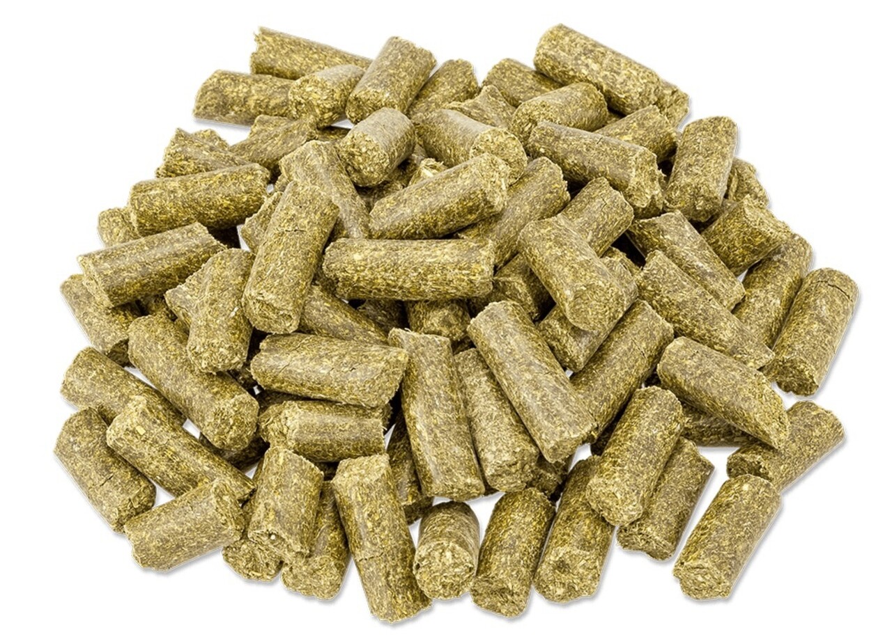 Metazoa Metazoa Fittreats Luzerne - Gezonde paardensnoep Metazoa Metazoa Fittreats Luzerne - Gezonde paardensnoep