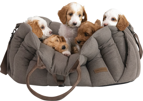 Animal Boulevard Animal Boulevard Home & Away Stadstas Diana Bruin Animal Boulevard Animal Boulevard Home & Away Stadstas Diana Bruin