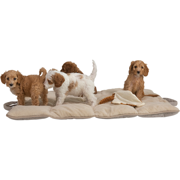 Animal Boulevard Animal Boulevard Home & Away Reismat Beige Animal Boulevard Animal Boulevard Home & Away Reismat Beige
