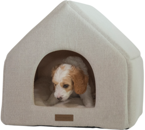 Animal Boulevard Animal Boulevard Home & Away Huis Beige Animal Boulevard Animal Boulevard Home & Away Huis Beige