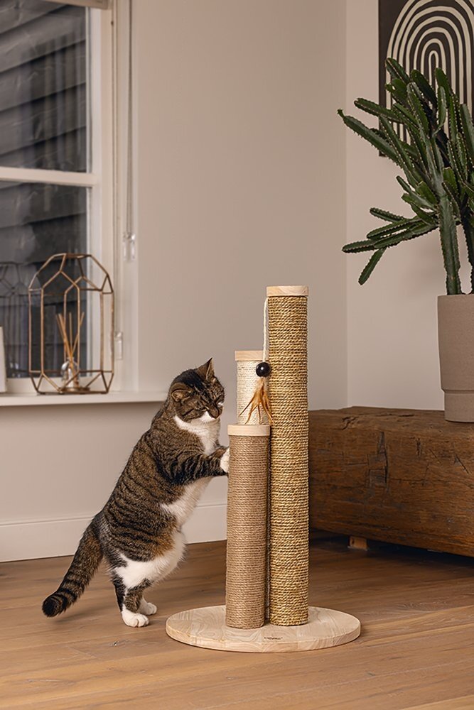 Designed by Lotte Designed by Lotte Hout Krapbaal Willa Designed by Lotte Designed by Lotte Hout Krapbaal Willa