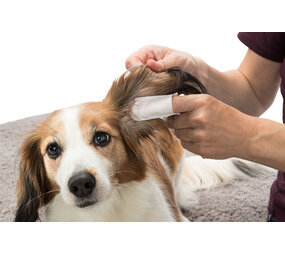 Trixie Trixie Oorverzorging​ Wegwerp-vingerpads