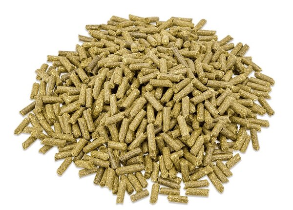 Metazoa Metazoa FitRight Timothee Metazoa Metazoa FitRight Timothee