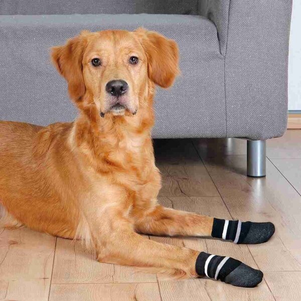Trixie Trixie Hondensokken Anti-slip met Rubberlaag (2 stuks)