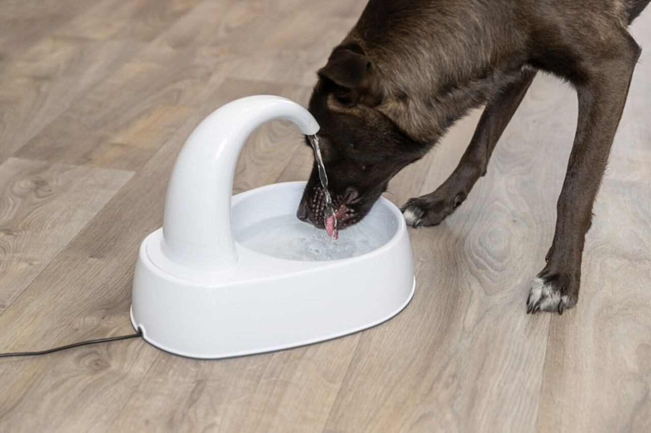 Trixie Trixie Drinkfontein Curved Stream Wit Trixie Trixie Drinkfontein Curved Stream Wit
