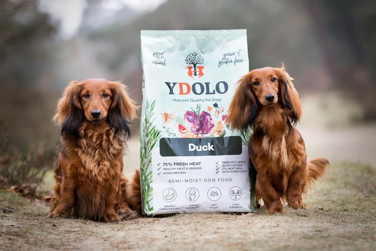 YDOLO YDOLO Healthy & Pure Eend
