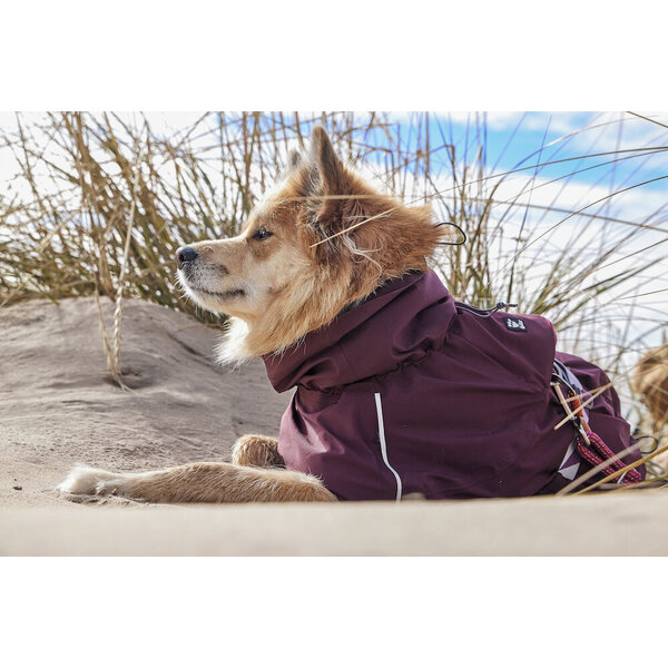 Hurtta Hurtta Mudventure Hondenjas Eco Eggplant Bordeaux Hurtta Hurtta Mudventure Hondenjas Eco Eggplant Bordeaux