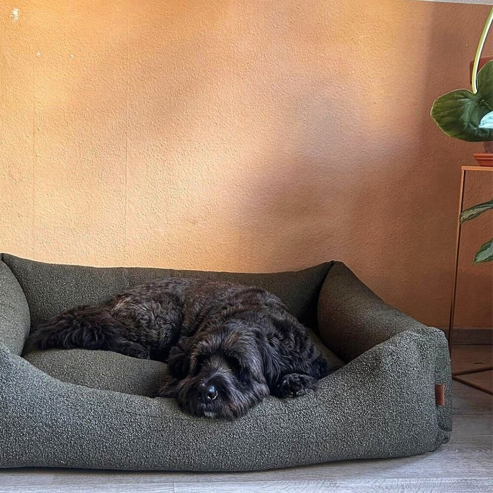 Nachtergaele Nachtergaele ESSENCE Hondenmand Orthopedisch Donker Groen Nachtergaele Nachtergaele ESSENCE Hondenmand Orthopedisch Donker Groen