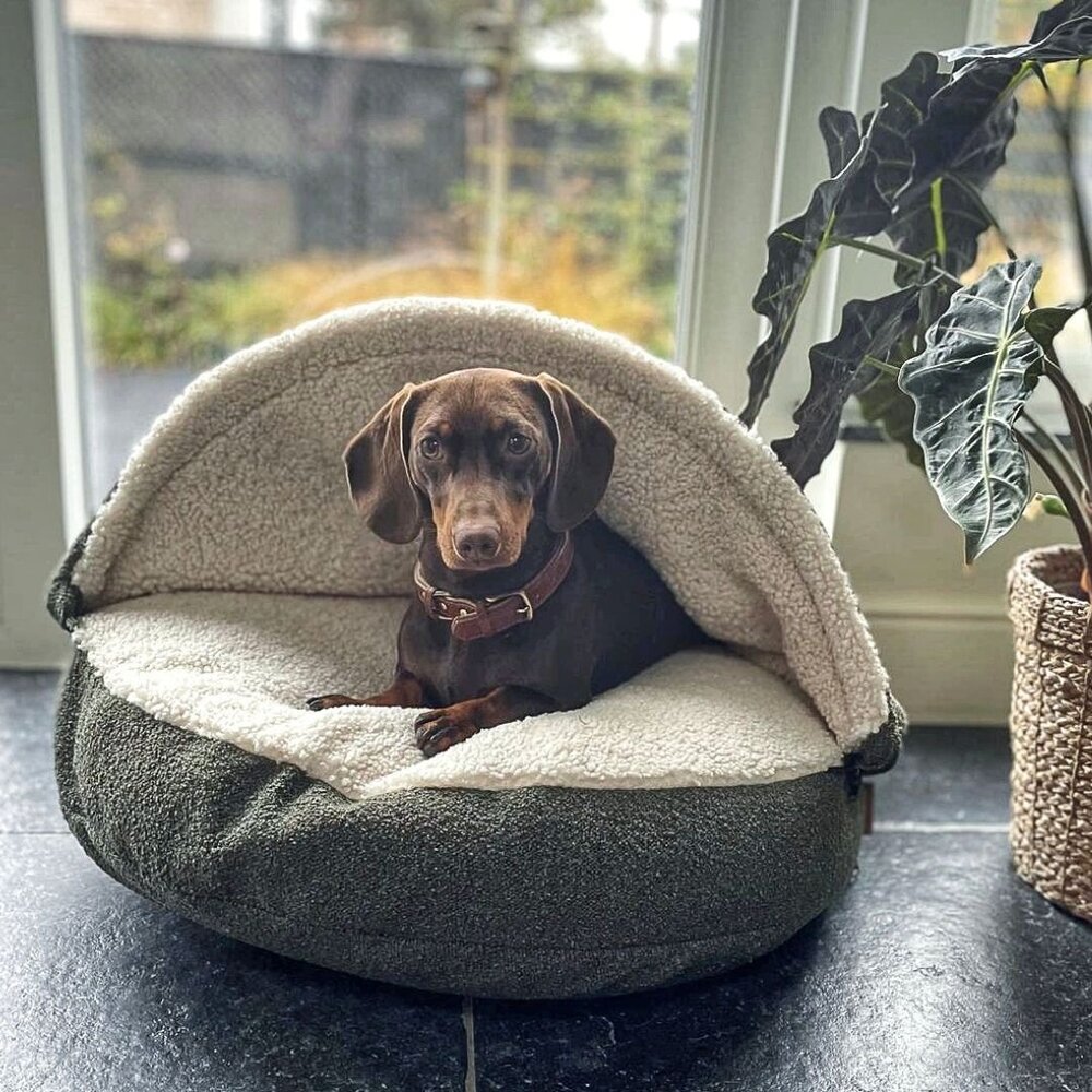 Nachtergaele Nachtergaele ESSENCE Hondenmand Met Kap Donkergroen Nachtergaele Nachtergaele ESSENCE Hondenmand Met Kap Donkergroen