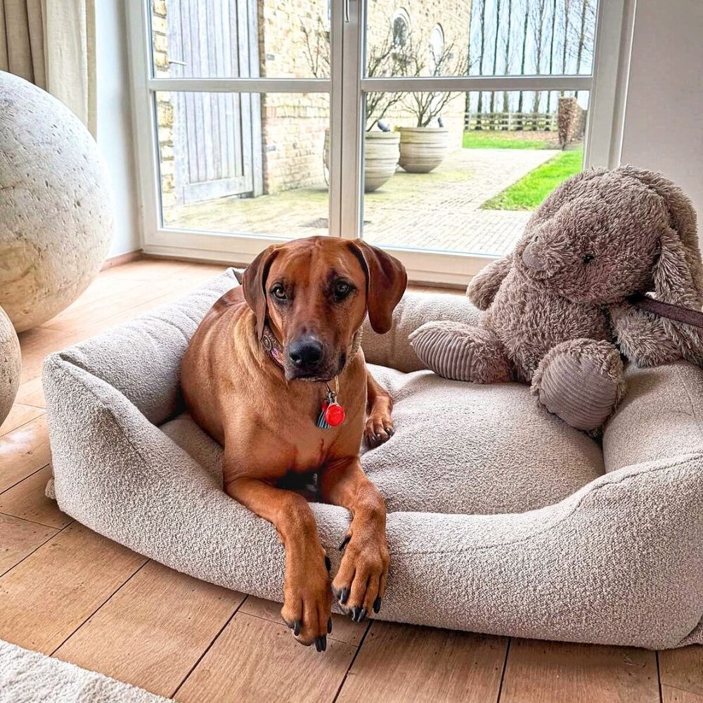 Nachtergaele Nachtergaele ESSENCE Hondenmand Orthopedisch Beige Nachtergaele Nachtergaele ESSENCE Hondenmand Orthopedisch Beige