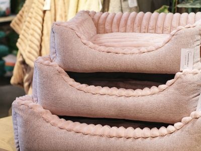 Nachtergaele-Dier-Tuin-Hondenmand-INNOCENT-Roze-blog-top5