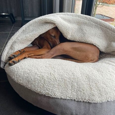 Nachtergaele Nachtergaele RIDGE Hondenmand Met Kap Lichtgrijs Nachtergaele Nachtergaele RIDGE Hondenmand Met Kap Lichtgrijs