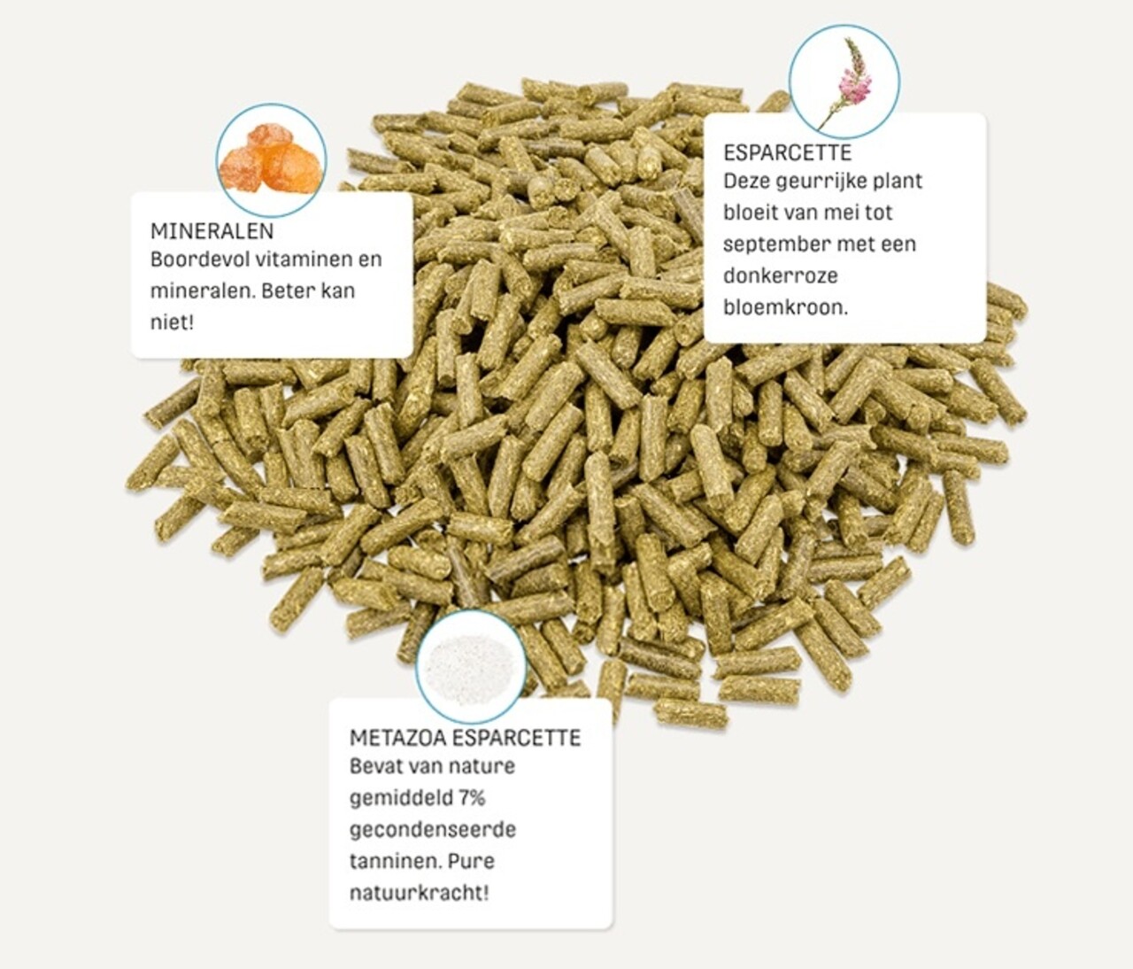 Metazoa Metazoa BalanceFit Esparcette