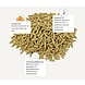Metazoa Metazoa BalanceFit Esparcette