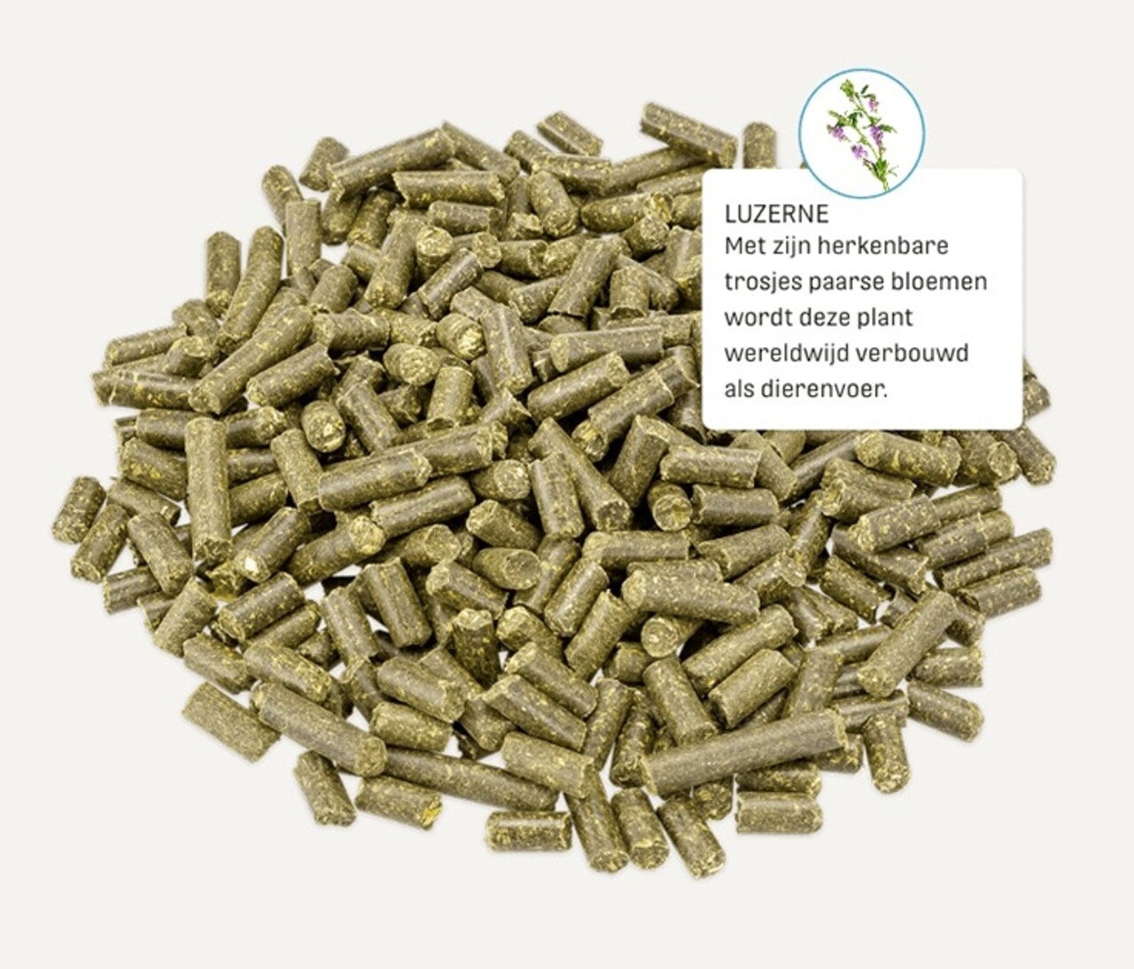 Metazoa Metazoa MuscleFit HP23