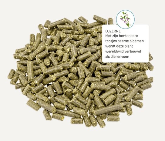 Metazoa Metazoa MuscleFit HP23 Metazoa Metazoa MuscleFit HP23