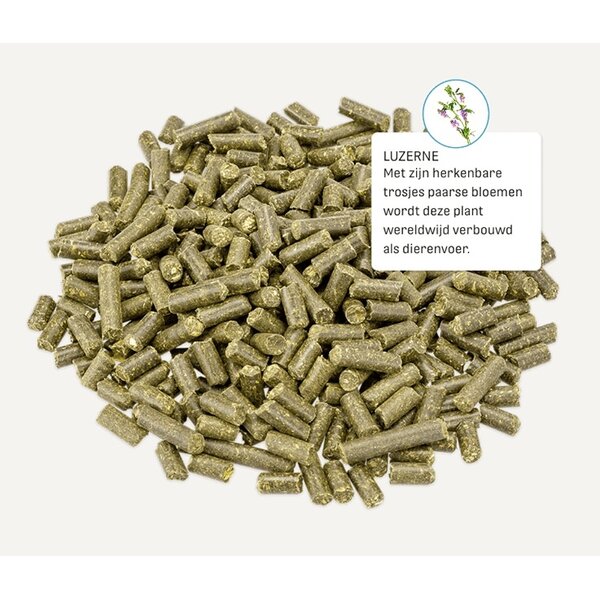 Metazoa Metazoa MuscleFit HP23