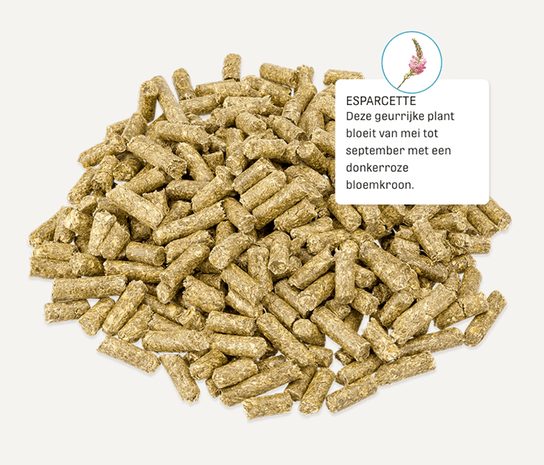 Metazoa Metazoa Digestfit Esparcette Metazoa Metazoa Digestfit Esparcette