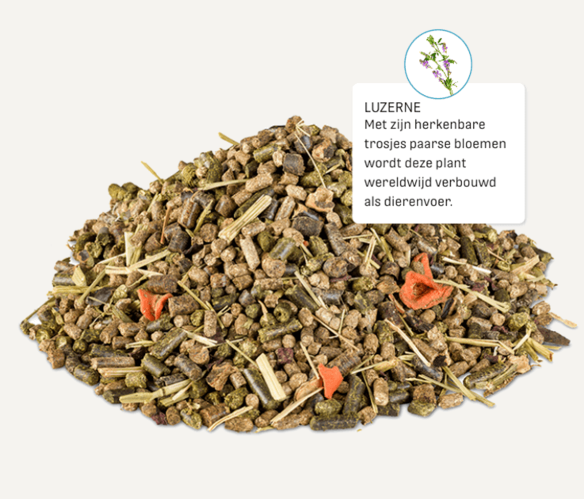 Metazoa Metazoa NaturalFit Muesli Metazoa Metazoa NaturalFit Muesli