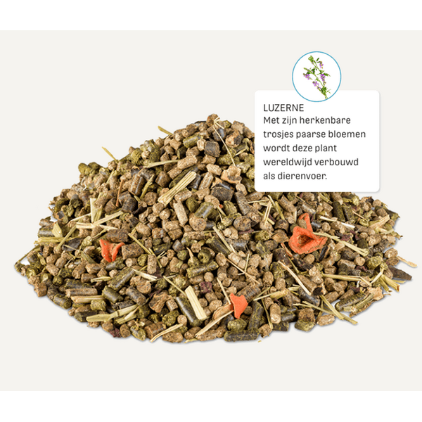 Metazoa Metazoa NaturalFit Muesli Metazoa Metazoa NaturalFit Muesli