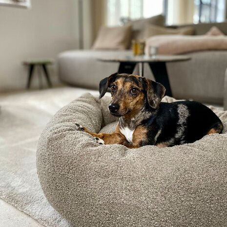 Nachtergaele Nachtergaele BOUCLE Mand Donut Orthopedisch Taupe