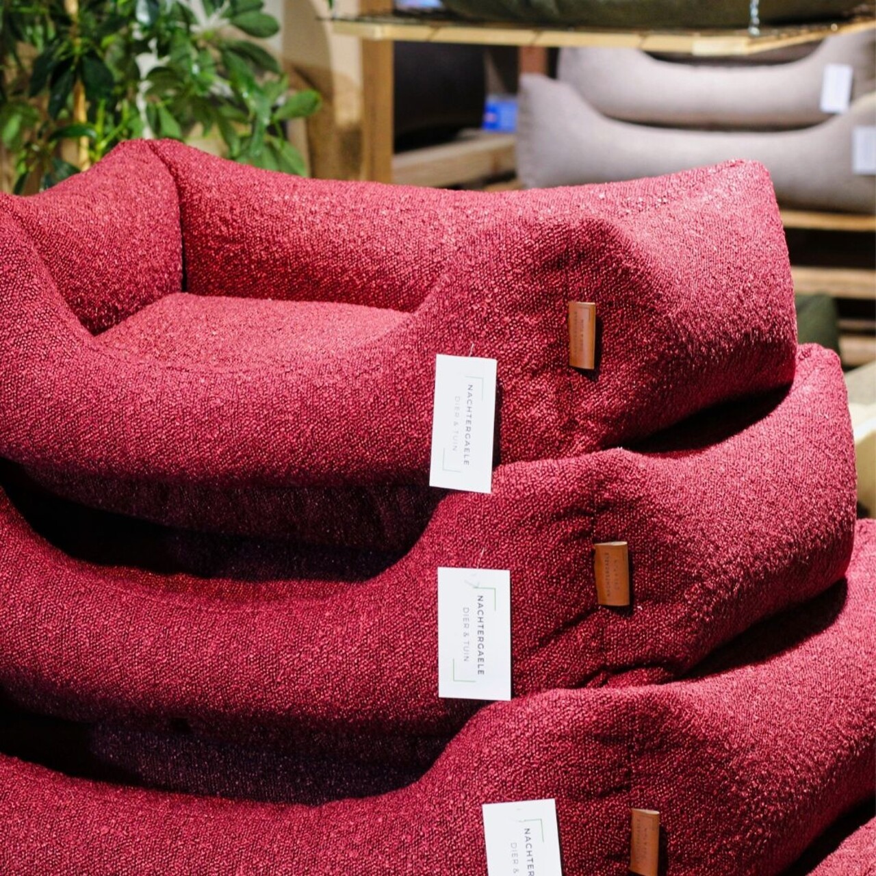 Nachtergaele Nachtergaele CLOUDS Mand Orthopedisch Merlot Rood Nachtergaele Nachtergaele CLOUDS Mand Orthopedisch Merlot Rood