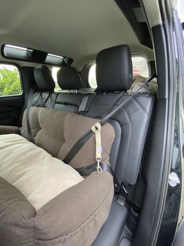 Animal Boulevard Animal Boulevard Home & Away Autostoel Backseat Betty Lichtgrijs-U Animal Boulevard Animal Boulevard Home & Away Autostoel Backseat Betty Lichtgrijs-U