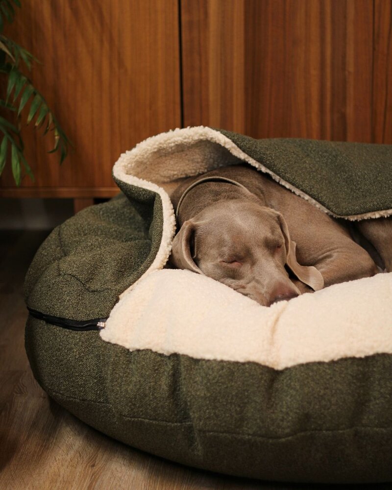 Nachtergaele Nachtergaele ESSENCE Hondenmand Met Kap Donkergroen Nachtergaele Nachtergaele ESSENCE Hondenmand Met Kap Donkergroen