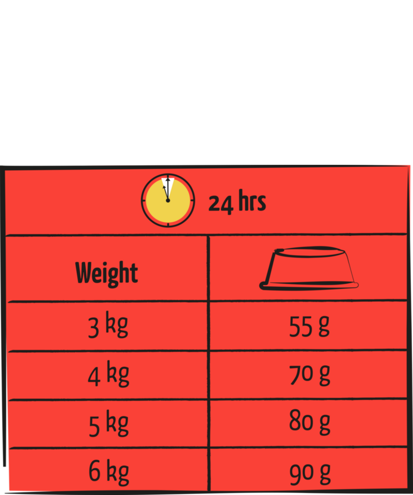 Lara Lara Adult met Rund Lara Lara Adult met Rund