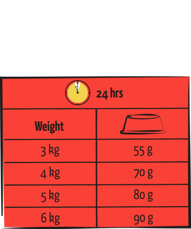 Lara Lara Adult met Rund Lara Lara Adult met Rund