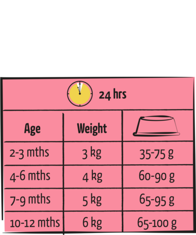 Lara Lara Junior met Kip Lara Lara Junior met Kip