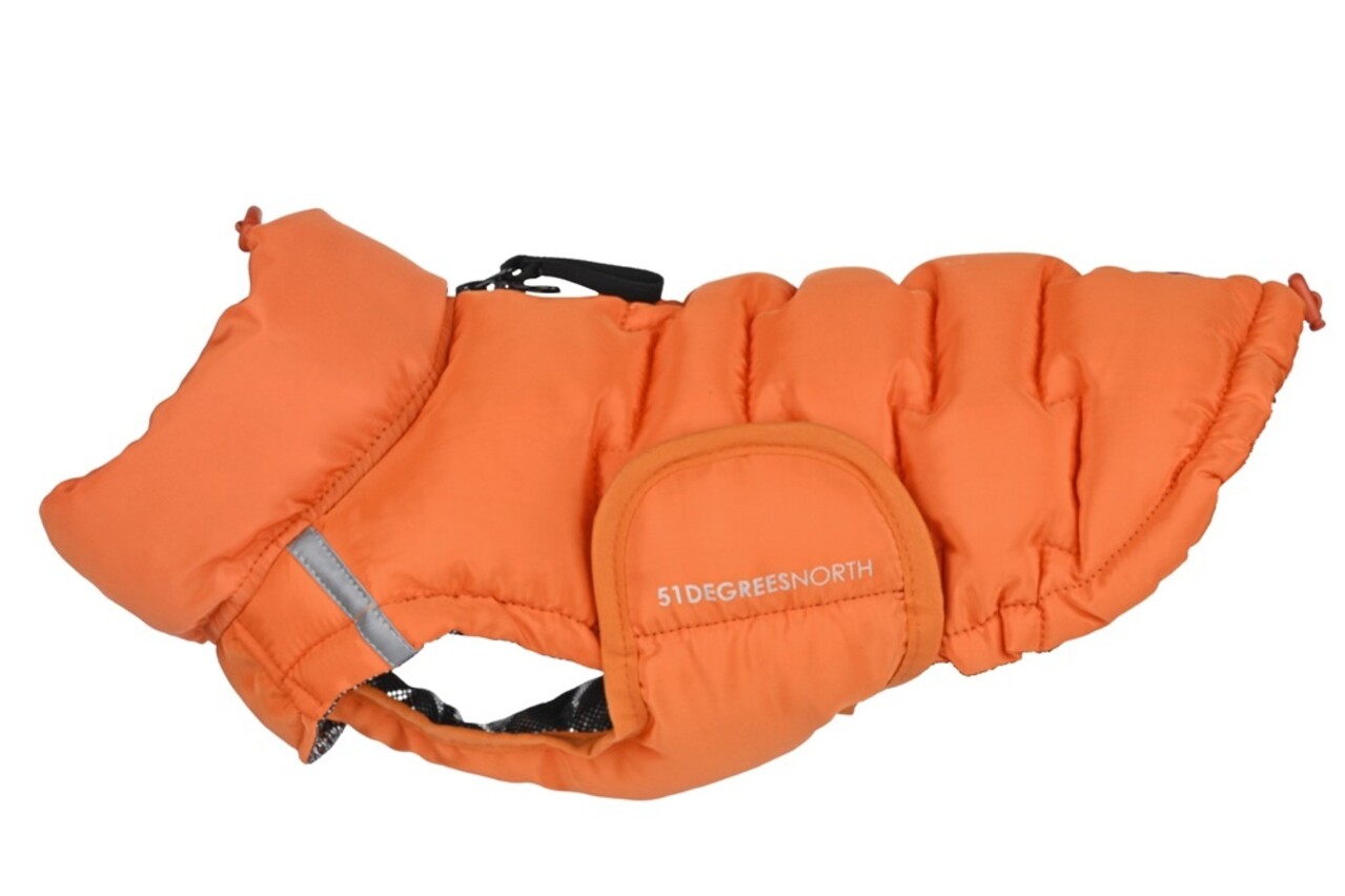 51 Degrees North 51 Degrees North Hondenjas voor Teckel Edge Coat Orange 51 Degrees North 51 Degrees North Hondenjas voor Teckel Edge Coat Orange