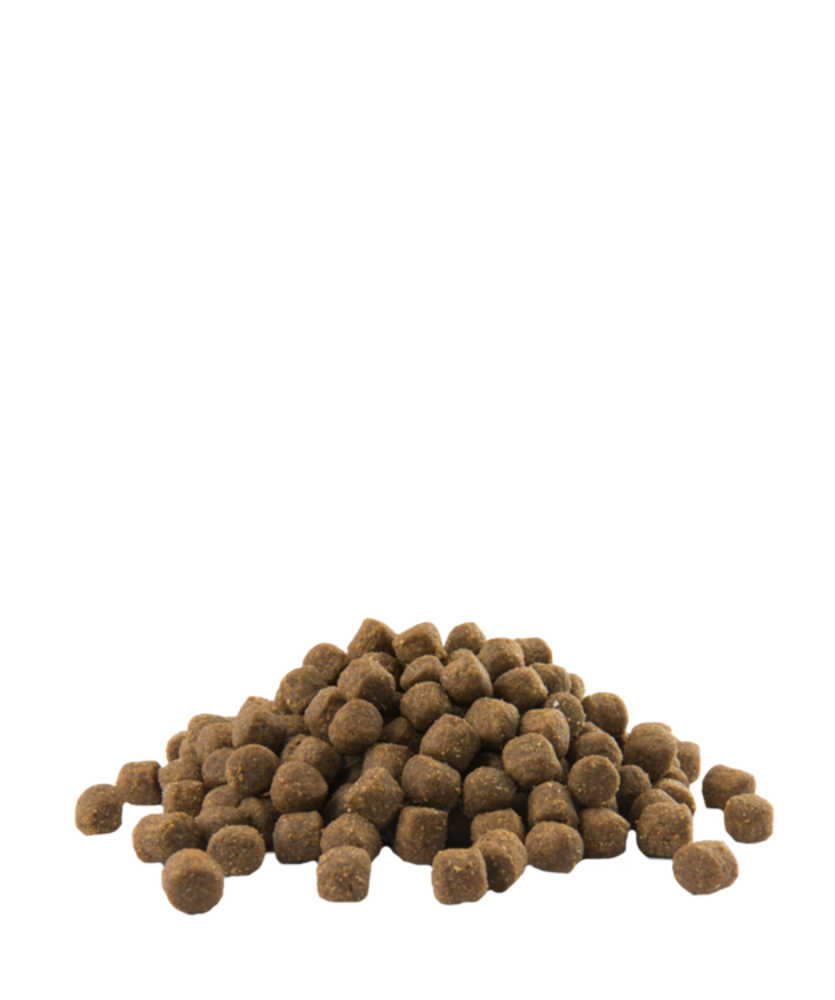 Opti Life  Opti Life Puppy Skin Care Zalm All Breeds