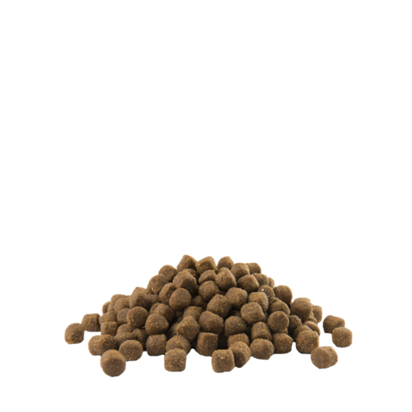 Opti Life Opti Life Puppy Skin Care Zalm All Breeds Opti Life Opti Life Puppy Skin Care Zalm All Breeds