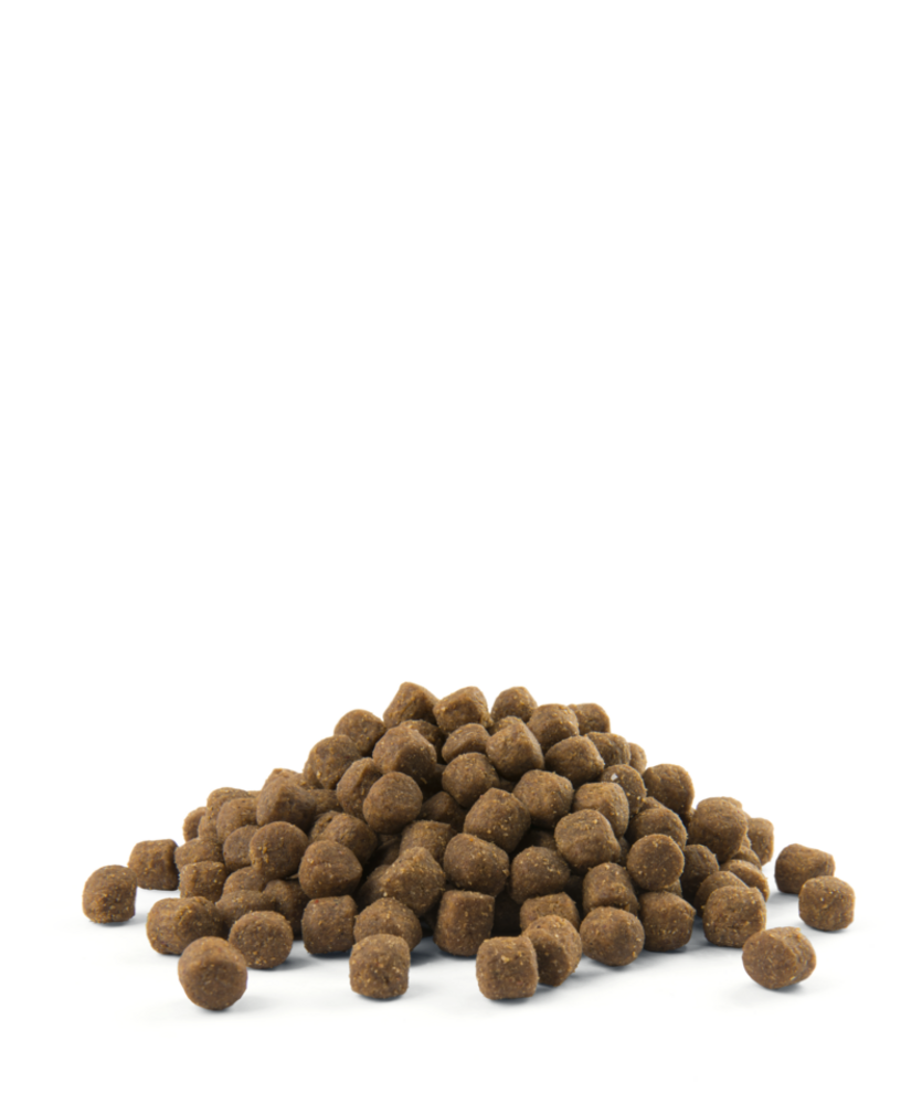 Opti Life  Opti Life Puppy Digestion Lam All Breeds