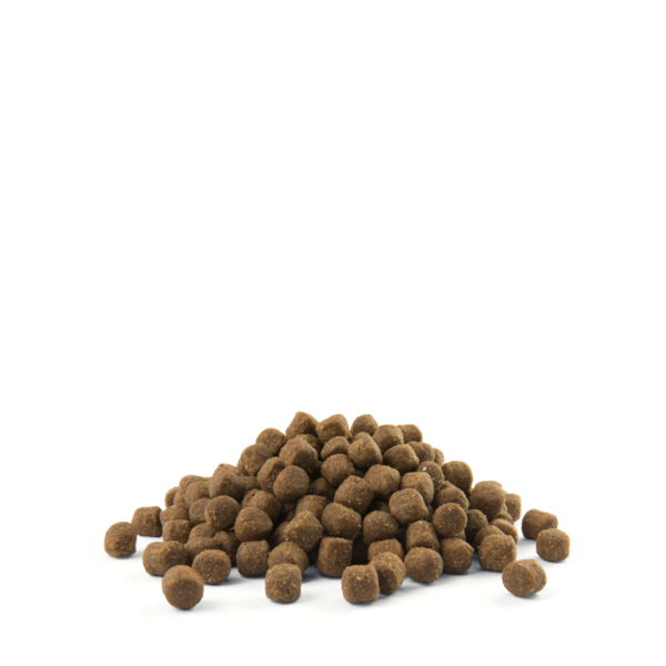 Opti Life Opti Life Puppy Digestion Lam All Breeds Opti Life Opti Life Puppy Digestion Lam All Breeds
