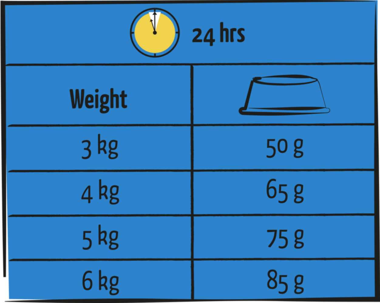 Lara Lara Adult Urinary Care met Kip